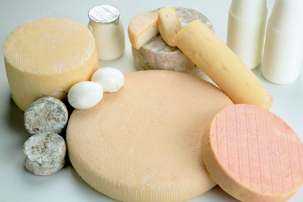 熊本・石坂牧場の生乳で作るマースのチーズ