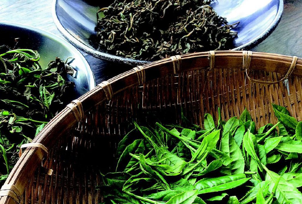 無農薬・無化学肥料にこだわって作られたお茶は、栽培から販売まで、すべて自分たちでされているそう