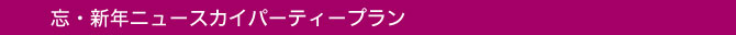 忘・新年ニュースカイパーティープラン